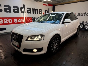 Audi A3 8P Hatchback 3d 2.0 TDI CR 140KM 2010 Audi A3 Sportback ledy bi xenon 2.0 tdi 140 konny manualna skrzynia bezwyp, zdjęcie 1