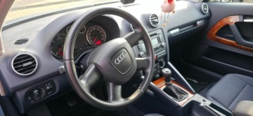 Audi A3 8P Hatchback 3d 1.9 TDI 105KM 2008 Audi a3 8P Atraction ładne, zdjęcie 11