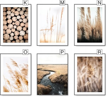 БОХО 21х30 КАРТИНА ПРИРОДА ТРАВА БЕЖЕВЫЙ постер №20