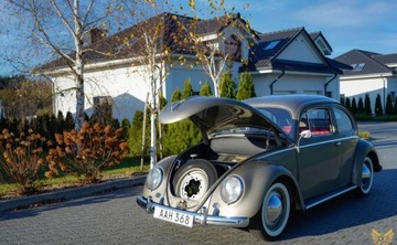 Volkswagen Garbus Standard 1.2 30KM 1956 Volkswagen Garbus Oval RT Classic Garage, zdjęcie 18