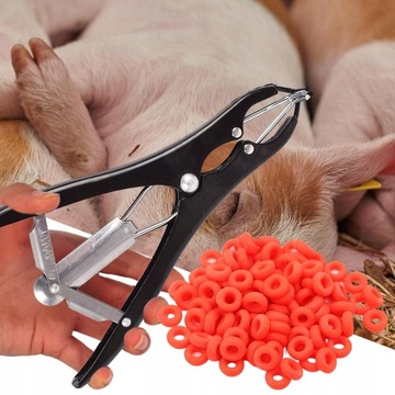 Инструмент для кастрации