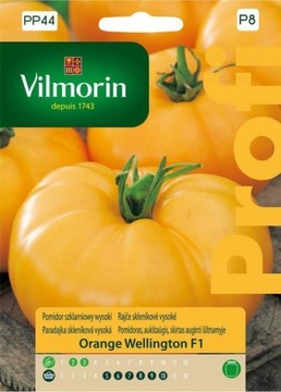 Nasiona pomidora Vilmorin odmiana Orange Wellington szklarniowy F1 0,1 g