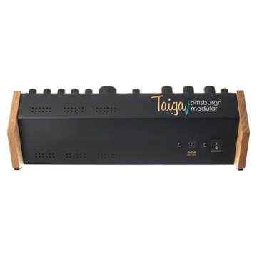 Модульный парафонический синтезатор Pittsburgh Taiga
