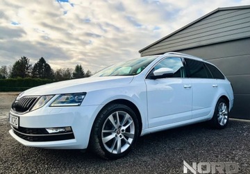 Skoda Octavia III Kombi Facelifting 2.0 TDI 184KM 2019 Skoda Octavia Bezwypadkowa, FV23, 4x4, Automat DSG, KredytowanieLeasing,, zdjęcie 4