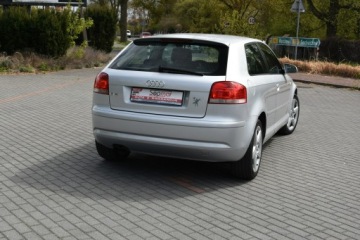 Audi A3 8P Hatchback 3d 1.9 TDI 105KM 2008 Audi A3 3-drzwiowe 1.9TDi 105KM 2008r. Klima, zdjęcie 18