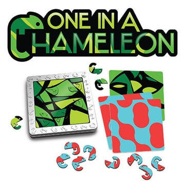 Магнитная головоломка «Хамелеоны» обучающая игра