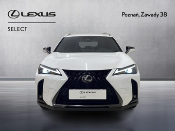 Lexus UX Crossover Facelifting 2.0 300h 199KM 2024 Lexus UX 300h F Sport Design Lexus UX 300h F Sport, zdjęcie 5