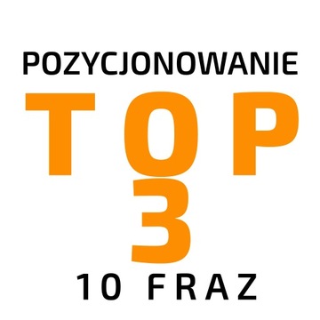 ROCZNE POZYCJONOWANIE 10 fraz do TOP 3