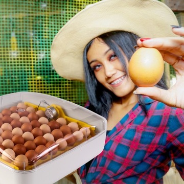 ИНКУБАТОР С ПОДОГРЕВОМ НА 56 ЯИЦ ЗДОРОВАЯ КУРИЦА ОТЛИЧНОГО КАЧЕСТВА