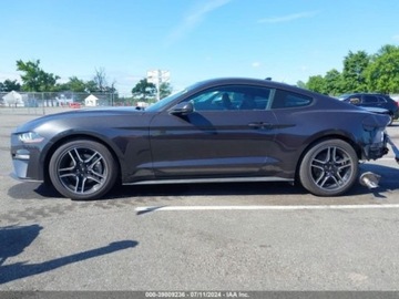 Ford Mustang VI 2023 Ford Mustang Ecoboost Premium Fastback, 2023r., 2.3L 2.3 Benzyna 310KM, zdjęcie 5