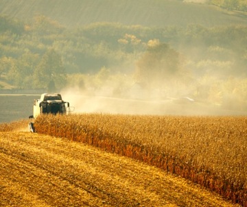 Беговое полотно с клиновым ремнем | HL 3200 БИЗОН ЗО56 ЗО58