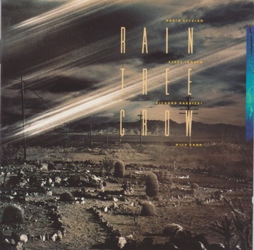 David Sylvian Rain Tree Crow CD UK 91 jak nowa