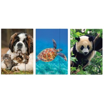 TECZKA Z GUMKĄ A4 ANIMALS HERLITZ