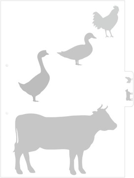 Папка с рецептами формата А5.