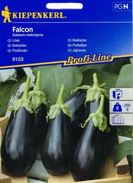 Kiepenkerl nasiona Bakłażan Falcon