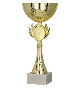 Puchar metalowy złoty 28cm