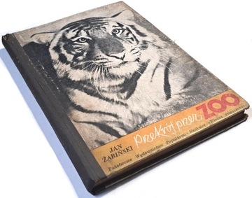 ŻABIŃSKI PRZEKRÓJ PRZEZ ZOO