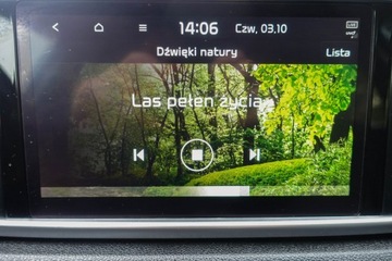 Kia Sportage IV SUV Facelifting 1.6 CRDI 136KM 2021 Kia Sportage Fv23%*BLACK EDITION*100% Bezwypadkowy, zdjęcie 26