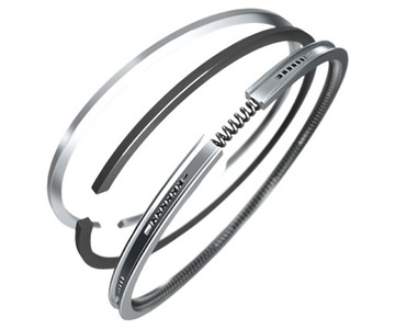 Pierścienie LOMBARDINI LDW502 /STD/
