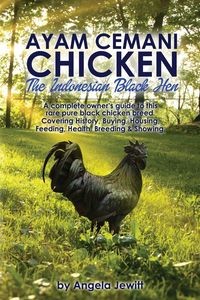 AYAM CEMANI CHICKEN - THE INDONESIAN BLACK HEN. ..