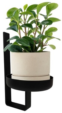 КЛАССИЧЕСКАЯ НАСТЕННАЯ ПОДСТАВКА ДЛЯ ЦВЕТОВ С ЧЕРНОЙ ПОДСТАВКОЙ