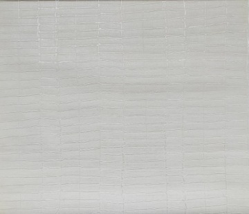 ВИНИЛОВЫЕ ОБОИ THICK OBJECTIVE ТЕКСТУРА 40314