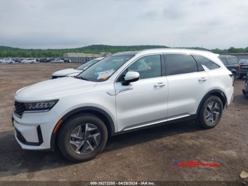 Kia Sorento IV 2021 Kia Sorento 2021 r, 1,6L SE FWD HYBRID 1.6 Hybryda 227KM, zdjęcie 2