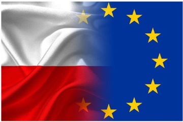 Велюровая декоративная подушка Золотые листья 45х45