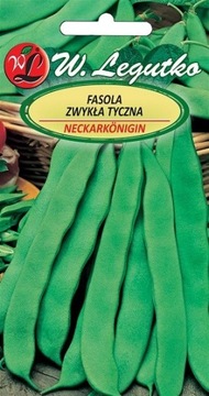 Fasola zwykła Neckarkonigin 10 g wczesna Legutko