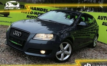 Audi A3 8P Hatchback 3d 2.0 TDI PD 140KM 2008 Audi A3 Audi A3