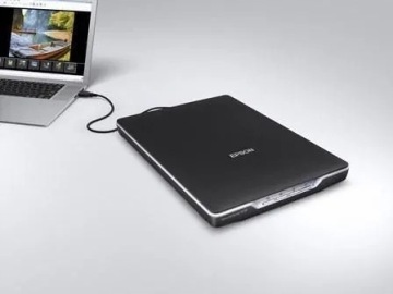 Сканер Epson Perfection V19