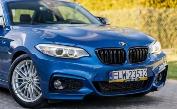 BMW Seria 2 F22-F23-F45-F46 Coupe 220d 184KM 2013 BMW Seria 2 BMW Seria 2 2.0 Diesel 184KM, zdjęcie 19