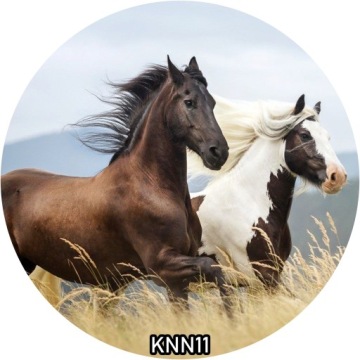Украшение для торта вафельное HORSE круглое 20 см на день рождения