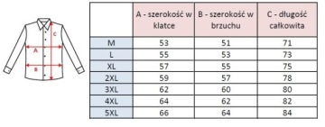 M - РУБАШКА МУЖСКАЯ ОБЫЧНАЯ 19-615А