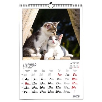 Настенный календарь 2024 B3 33 x 48 см 7 досок CATS