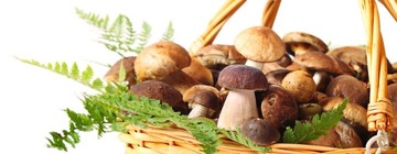 СУШИЛКА ДЛЯ ГРИБОВ, ФРУКТОВ, ОВОЩЕЙ, ТРАВ, БОЛЬШАЯ, 250 Вт