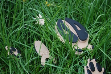 Следы животных 1:1