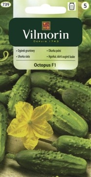 Ogórek gruntowy konserwowy Octopus F1 1,5g Vilmorin