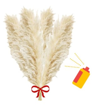 TRAWA PAMPASOWA SUSZONA DO WAZONU OZDOBNA PAMPASY