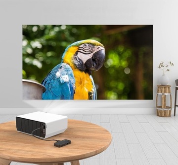 Dekoder DVB-T2 DVB-C HEVC H.265 Full HD HDMI USB PVR Pilot 2w1 Plug&Play