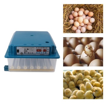 36 Инкубатор для яиц из АБС-пластика Цифровая инкубационная машина