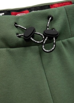 Шорты мужские PIT BULL короткие брюки питбуль