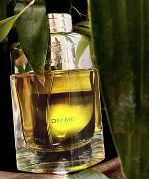 BENTLEY ДЛЯ МУЖЧИН EDT 100 МЛ ОРИГИНАЛ