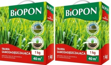Trawa samozagęszczająca Biopon 1 kg PAKIET