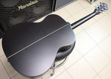 Washburn Deep Forest Ebony FE (фолк) - новинка!