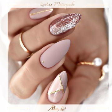 Molly Lac POLY GEL набор акриловых гелей 30мл + формы