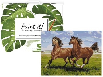 Живопись на рисовании! Лошади 40x50 см