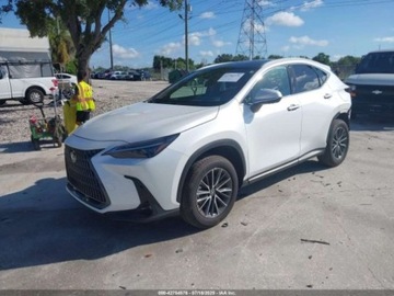 Lexus NX II 2025 Lexus NX 350 Luxury, 2025r. 4x4, 2.4L 2.4 Benzyna 275KM, zdjęcie 1