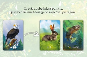 ЭКОСИСТЕМНАЯ СЕМЕЙНАЯ НАСТОЛЬНАЯ ИГРА ДЛЯ ДЕТЕЙ 8+