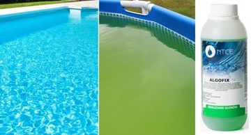 АНТИГЛОН ПРОТИВ ВОДОРОЛЕЙ КОНЦЕНТРАТ ДЛЯ БАССЕЙНА ХЛОР 1л
